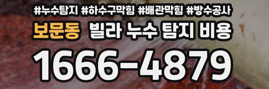 보문동 빌라 누수 탐지 비용