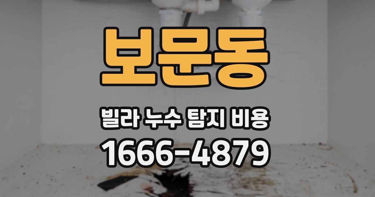 보문동 빌라 누수 탐지 비용