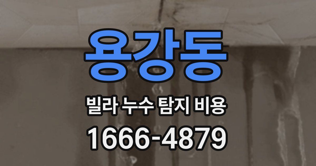 용강동 빌라 누수 탐지 비용