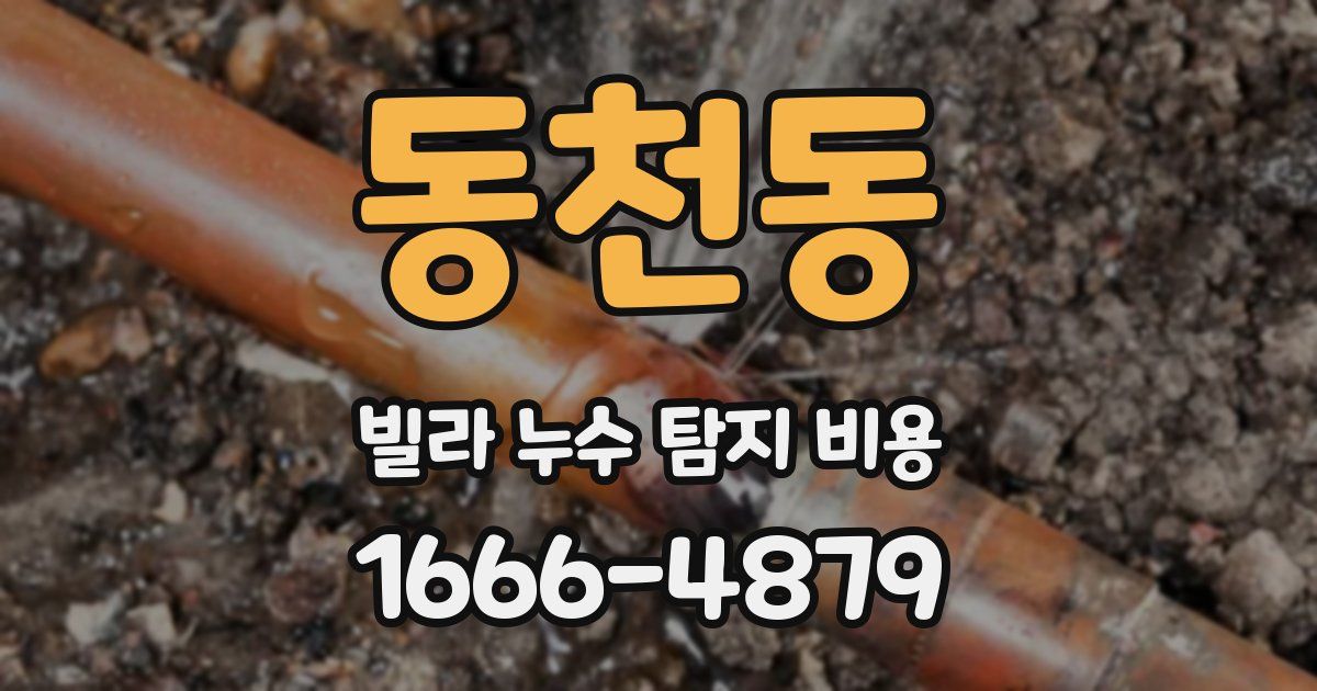 동천동 빌라 누수 탐지 비용