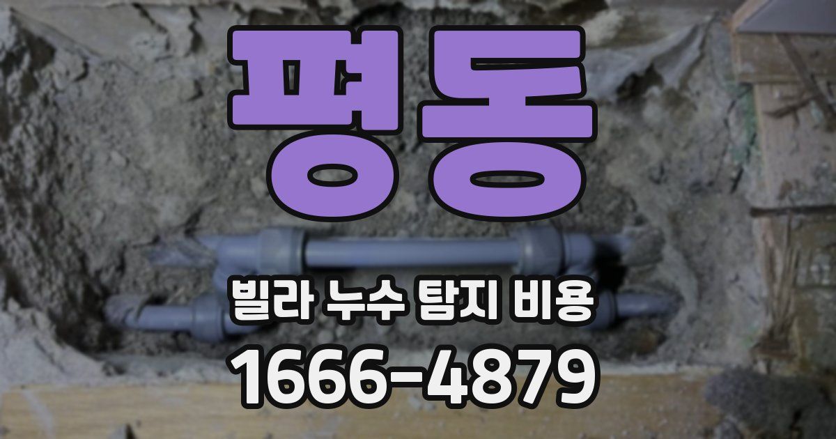 평동 빌라 누수 탐지 비용