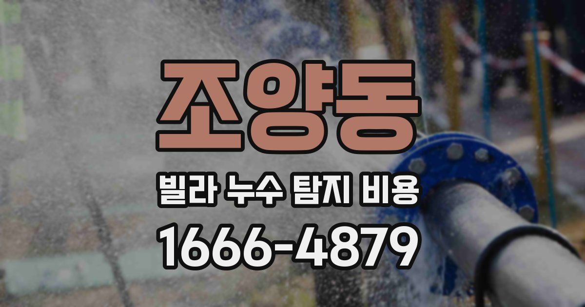 조양동 빌라 누수 탐지 비용