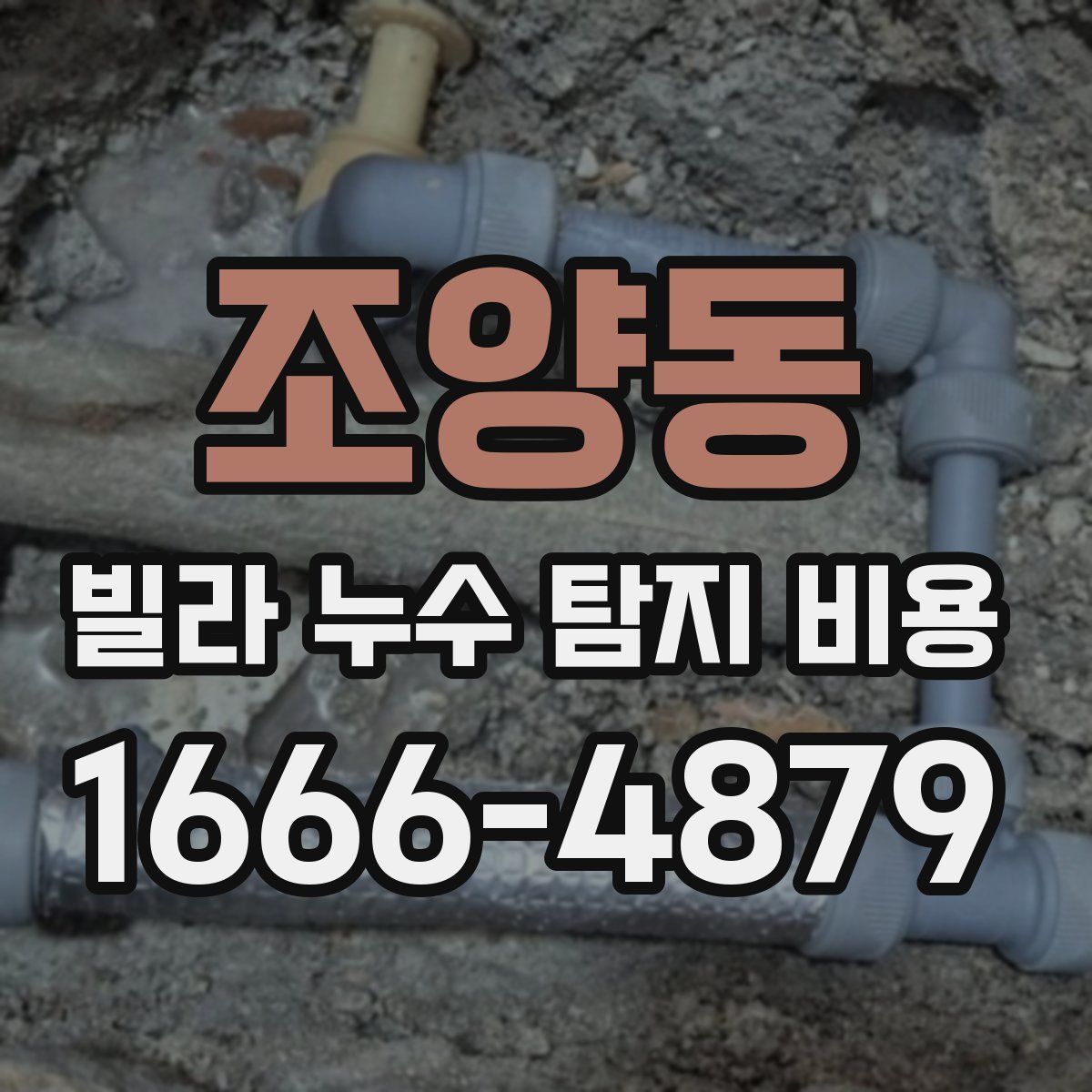 조양동 빌라 누수 탐지 비용