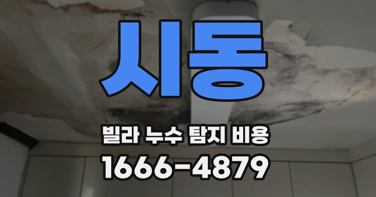 시동 빌라 누수 탐지 비용