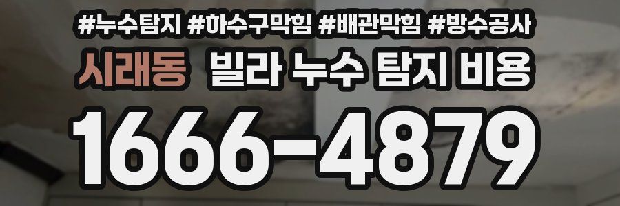 시래동 빌라 누수 탐지 비용