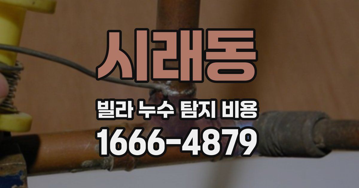 시래동 빌라 누수 탐지 비용