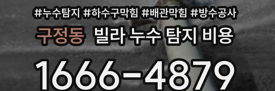 구정동 빌라 누수 탐지 비용