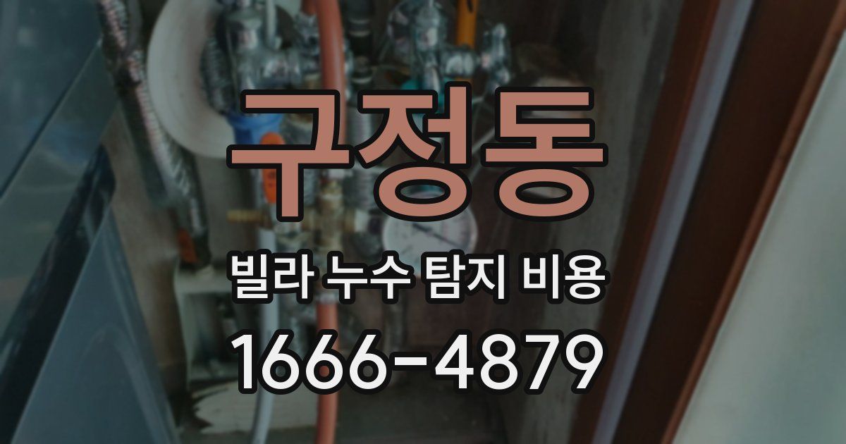 구정동 빌라 누수 탐지 비용
