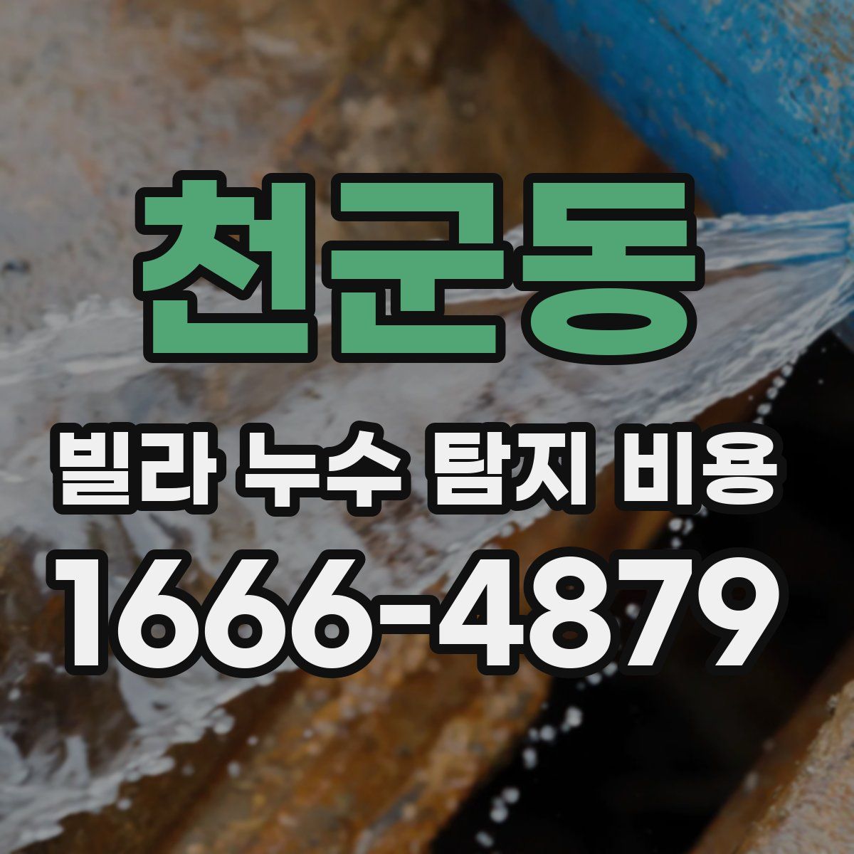 천군동 빌라 누수 탐지 비용