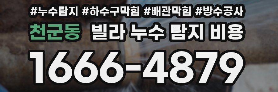 천군동 빌라 누수 탐지 비용