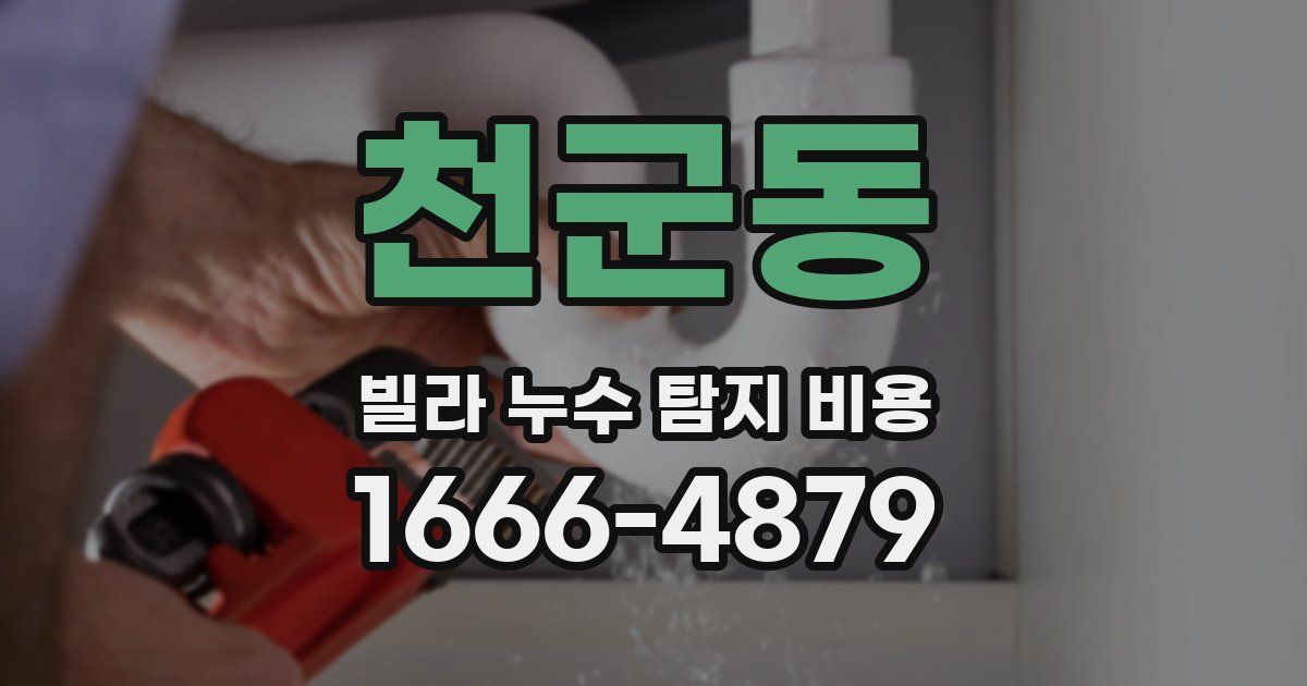 천군동 빌라 누수 탐지 비용