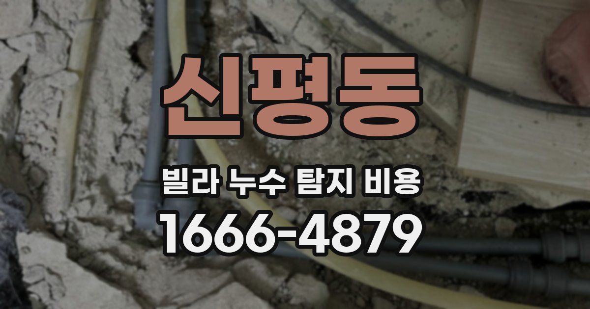 신평동 빌라 누수 탐지 비용