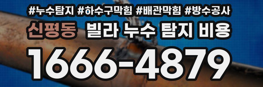 신평동 빌라 누수 탐지 비용