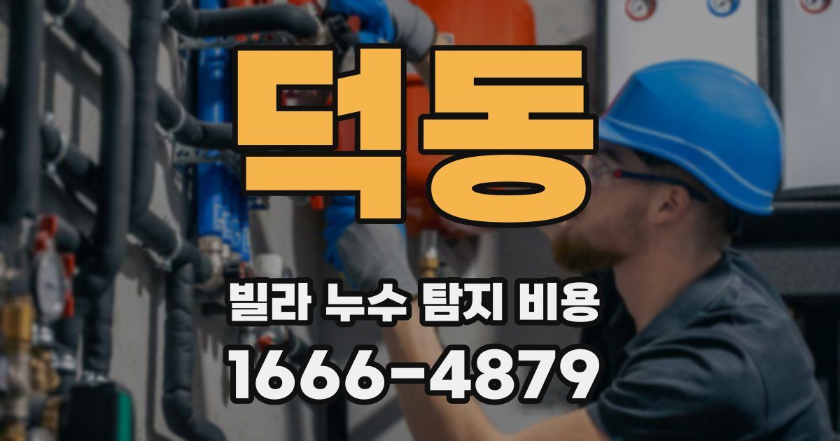 덕동 빌라 누수 탐지 비용