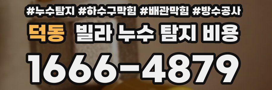 덕동 빌라 누수 탐지 비용