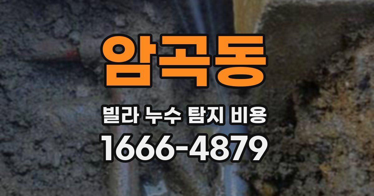 암곡동 빌라 누수 탐지 비용