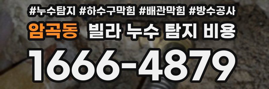 암곡동 빌라 누수 탐지 비용