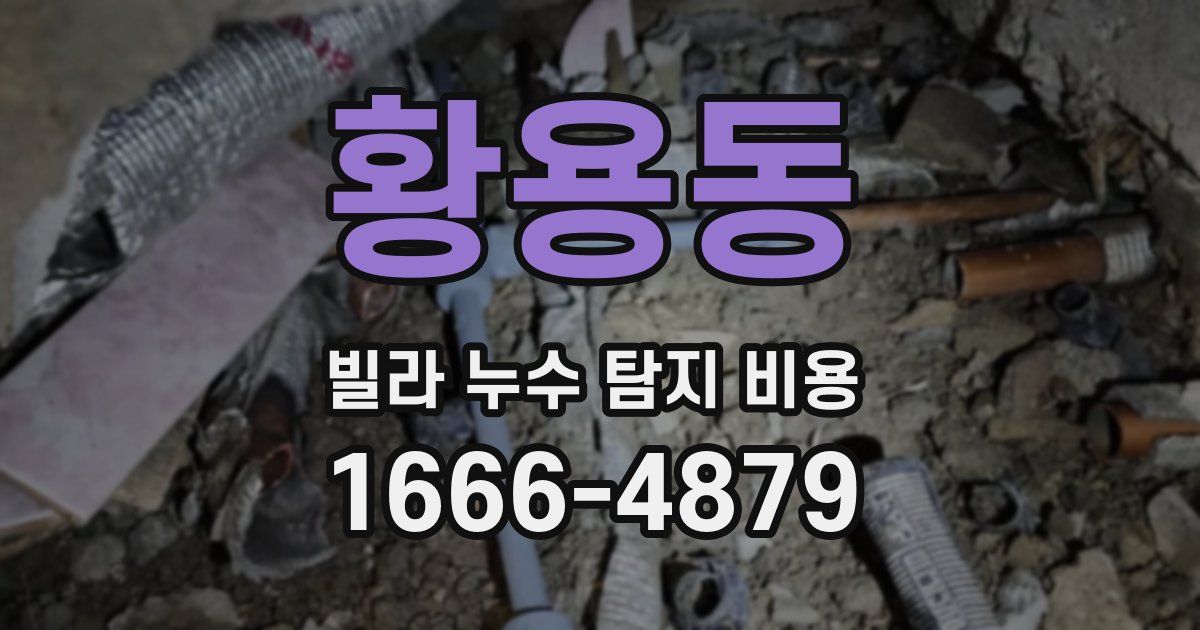 황용동 빌라 누수 탐지 비용