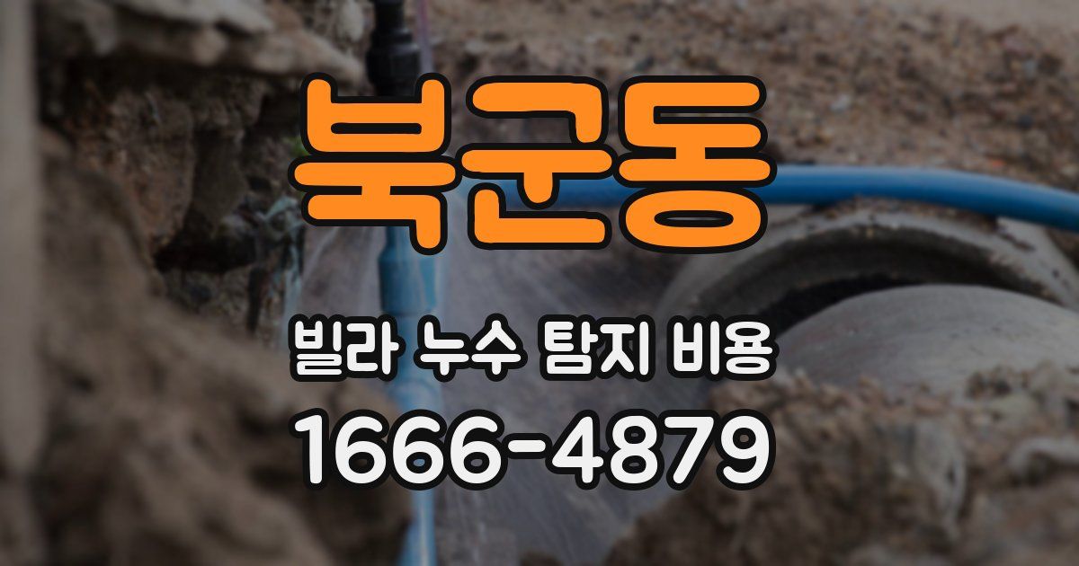 북군동 빌라 누수 탐지 비용