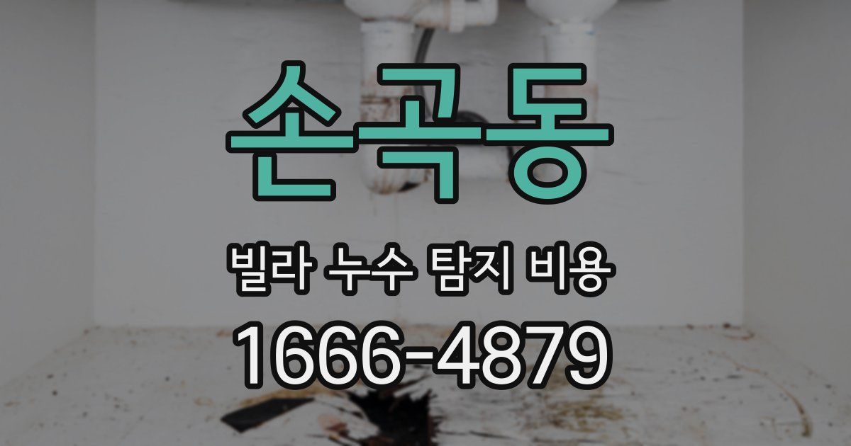 손곡동 빌라 누수 탐지 비용