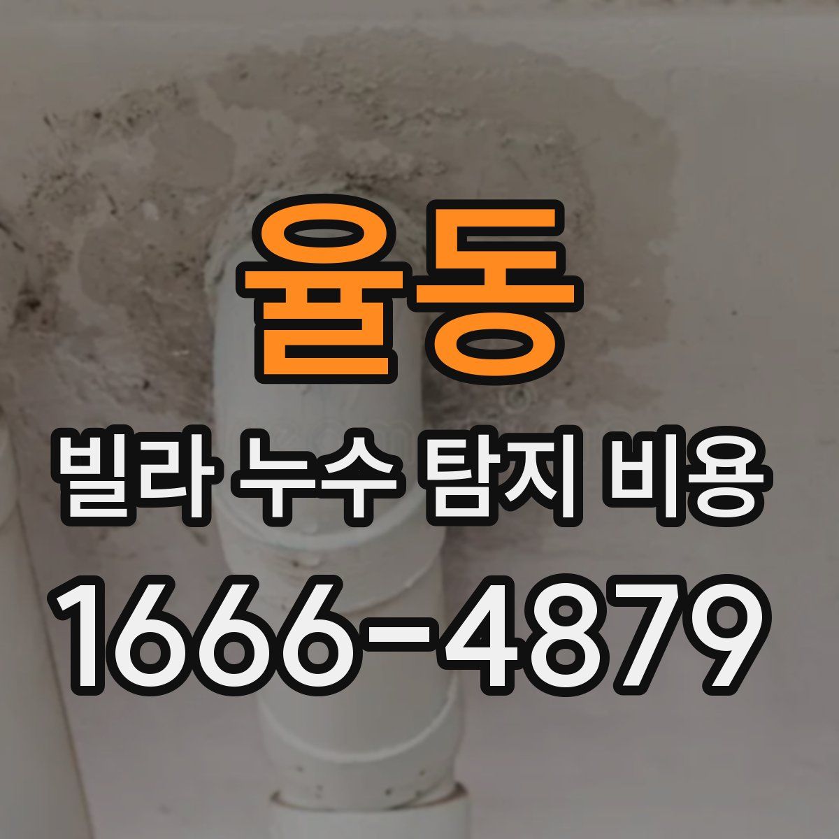 율동 빌라 누수 탐지 비용