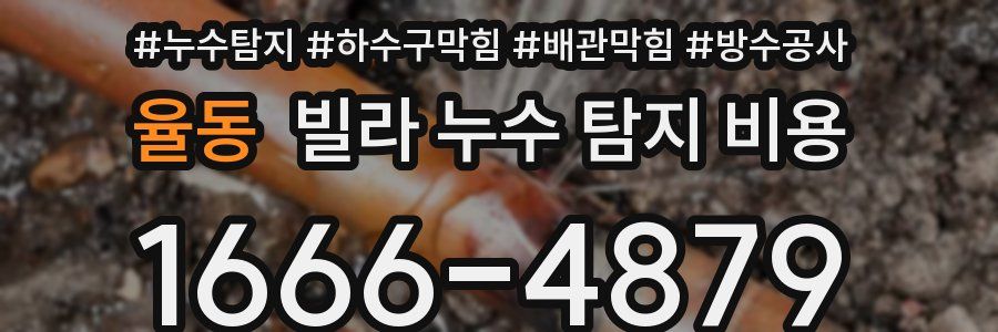 율동 빌라 누수 탐지 비용