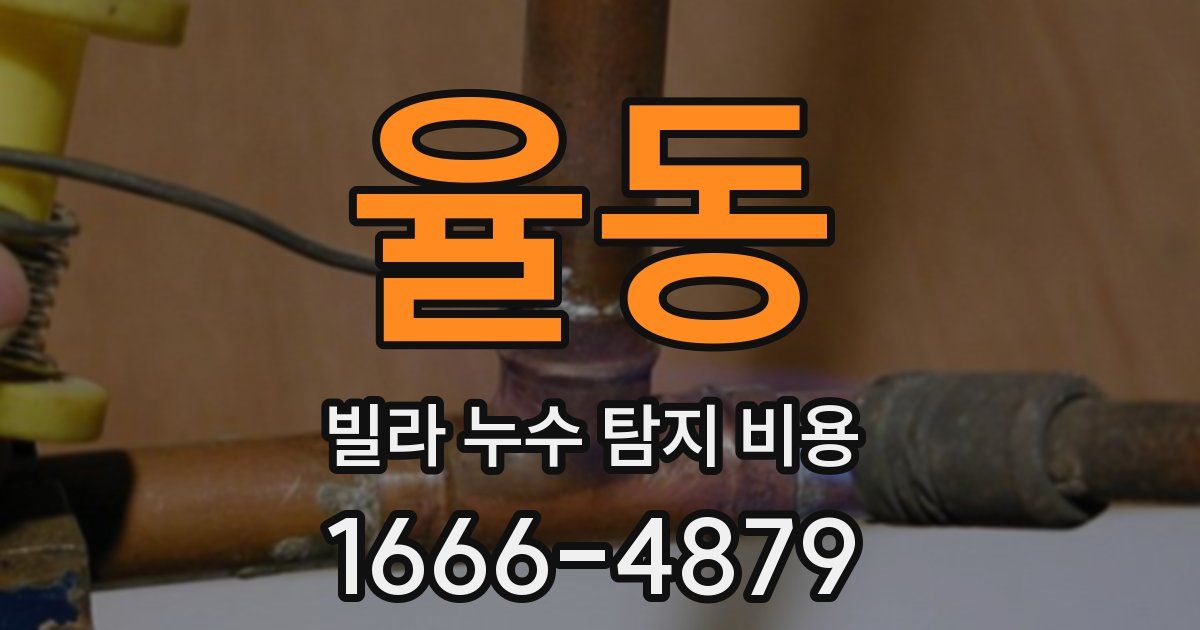 율동 빌라 누수 탐지 비용