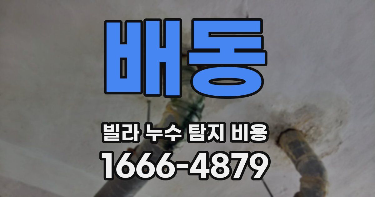 배동 빌라 누수 탐지 비용