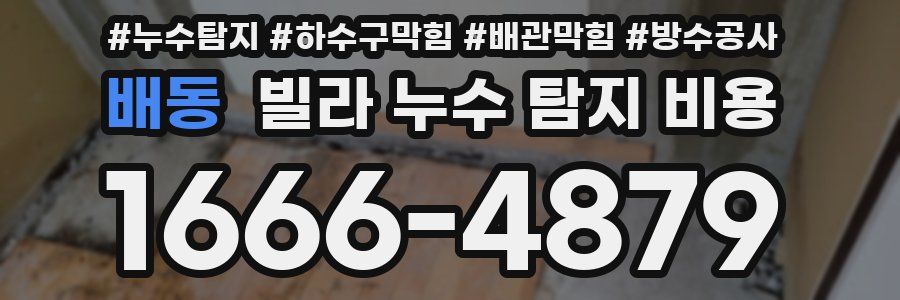 배동 빌라 누수 탐지 비용