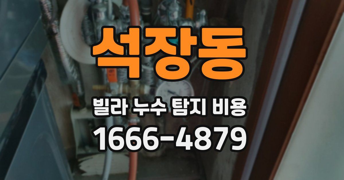 석장동 빌라 누수 탐지 비용