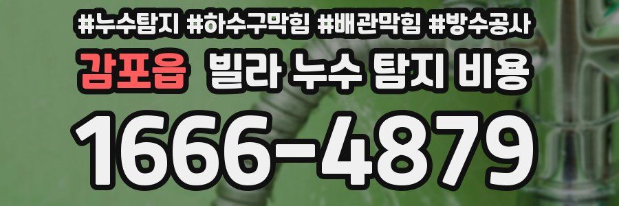 감포읍 빌라 누수 탐지 비용