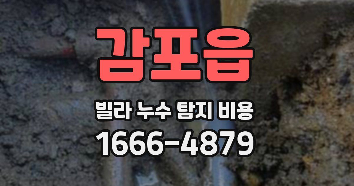 감포읍 빌라 누수 탐지 비용