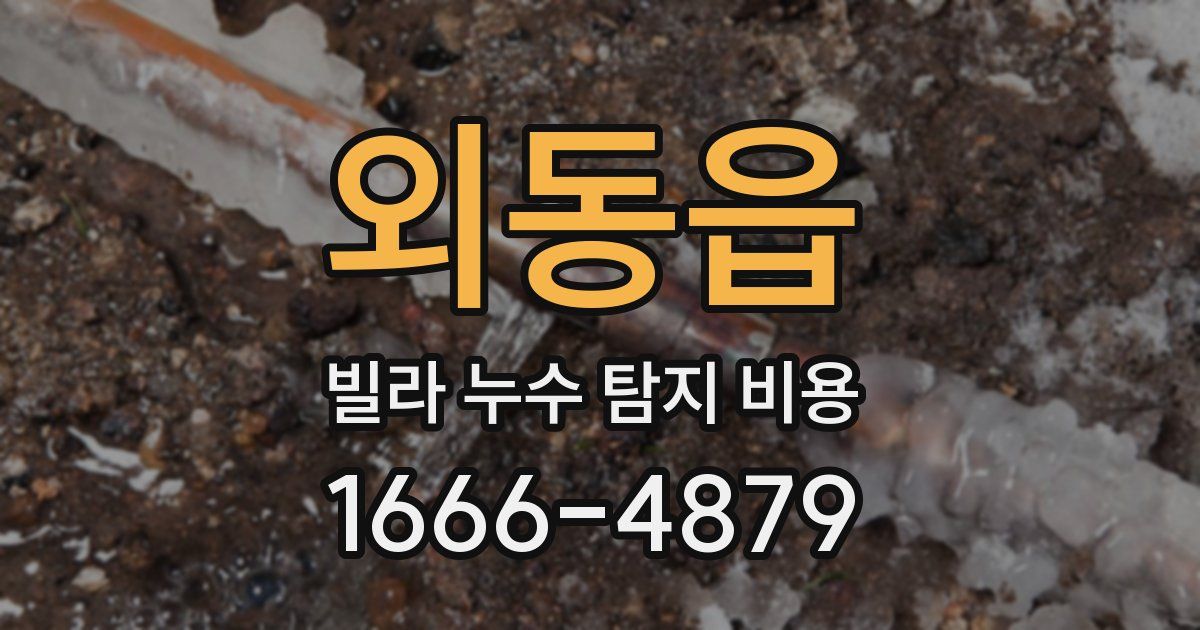 외동읍 빌라 누수 탐지 비용