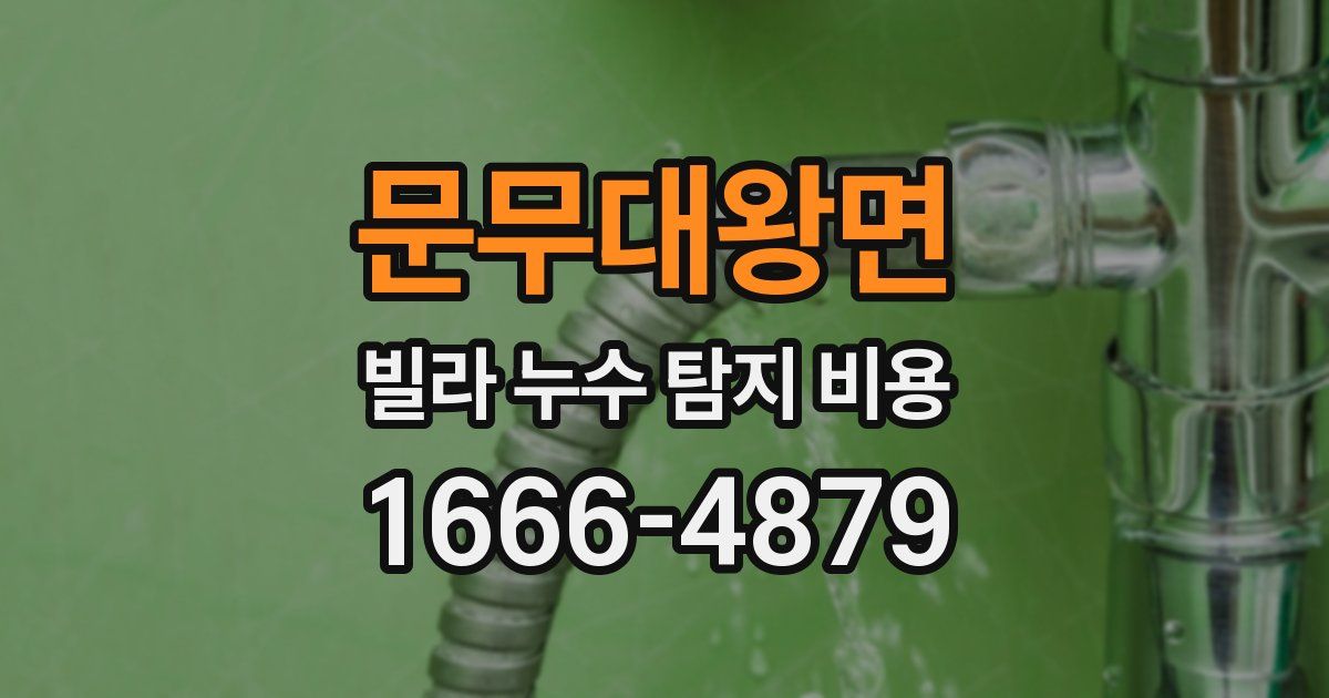 문무대왕면 빌라 누수 탐지 비용