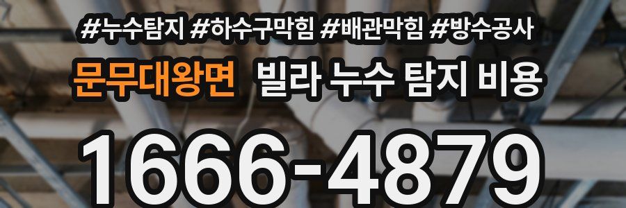 문무대왕면 빌라 누수 탐지 비용