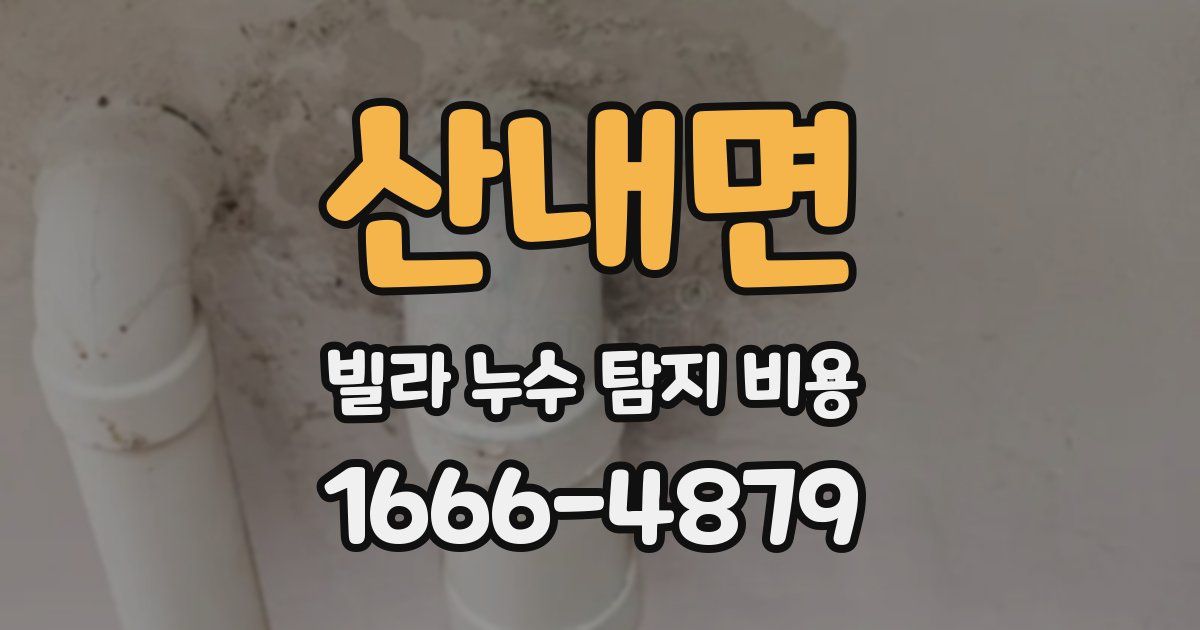 산내면 빌라 누수 탐지 비용