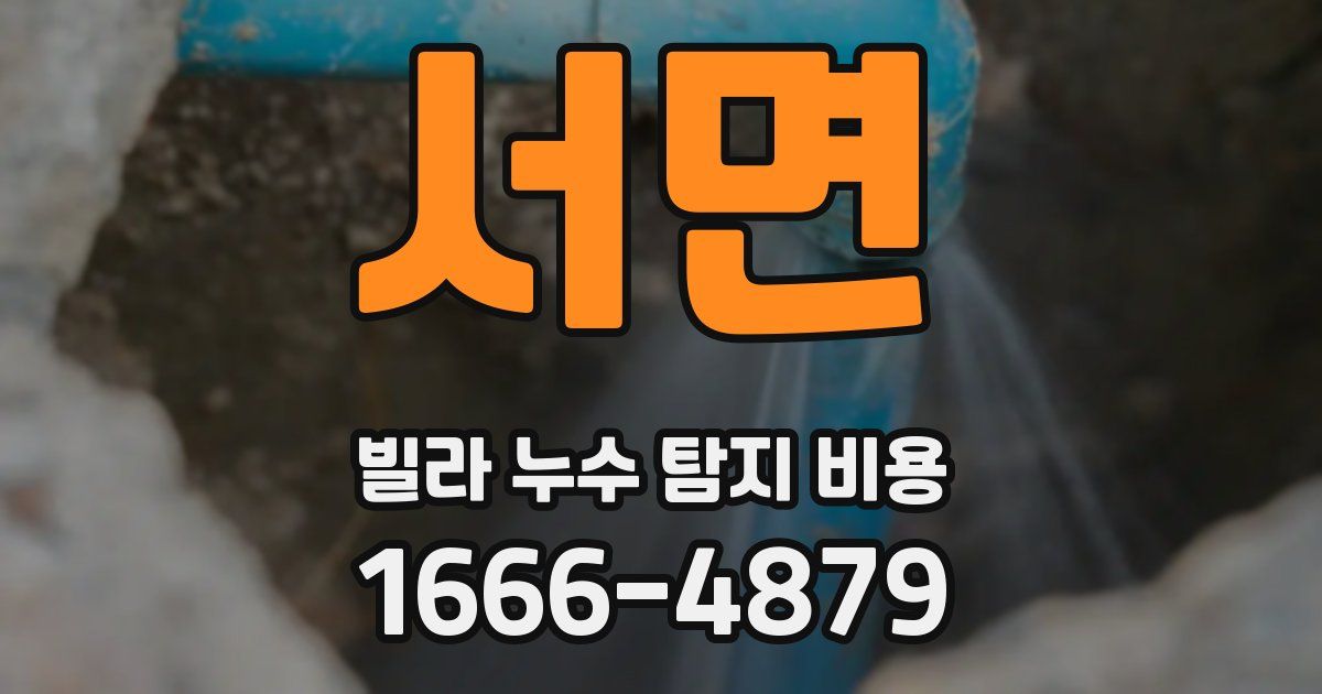 서면 빌라 누수 탐지 비용