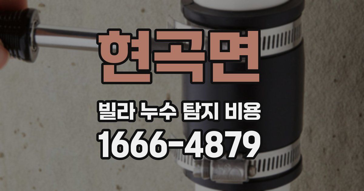 현곡면 빌라 누수 탐지 비용