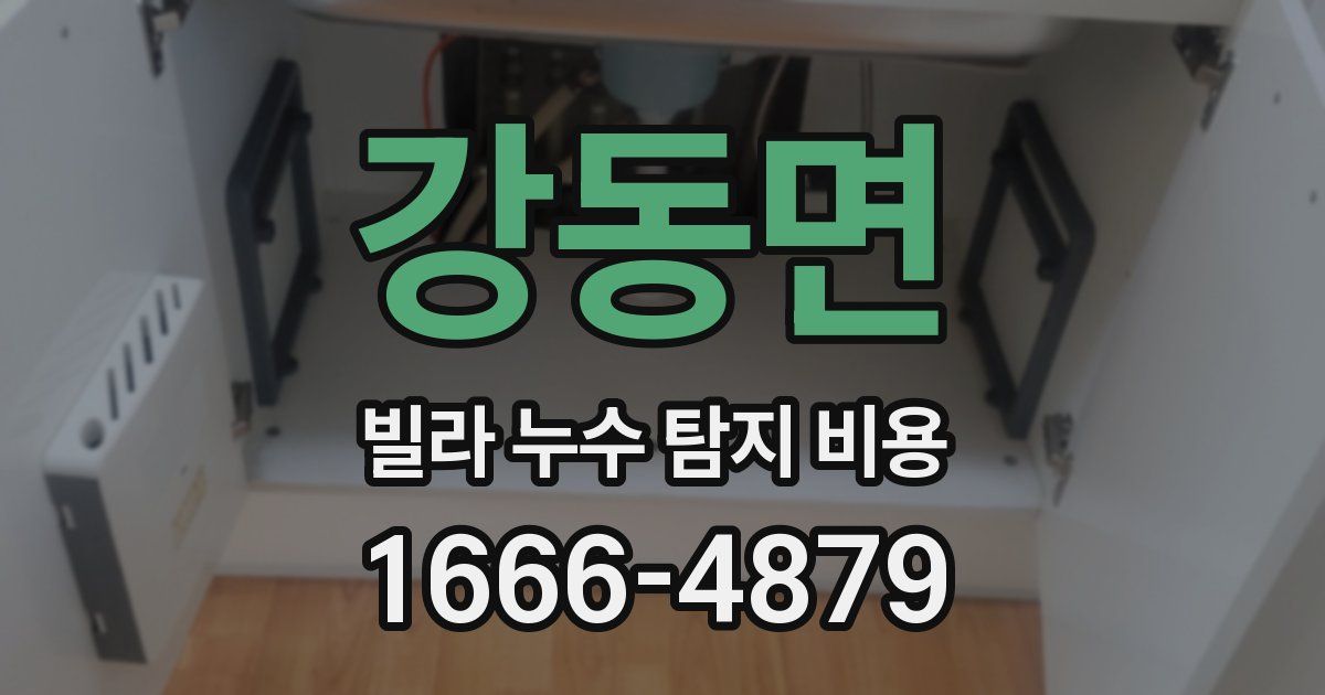 강동면 빌라 누수 탐지 비용