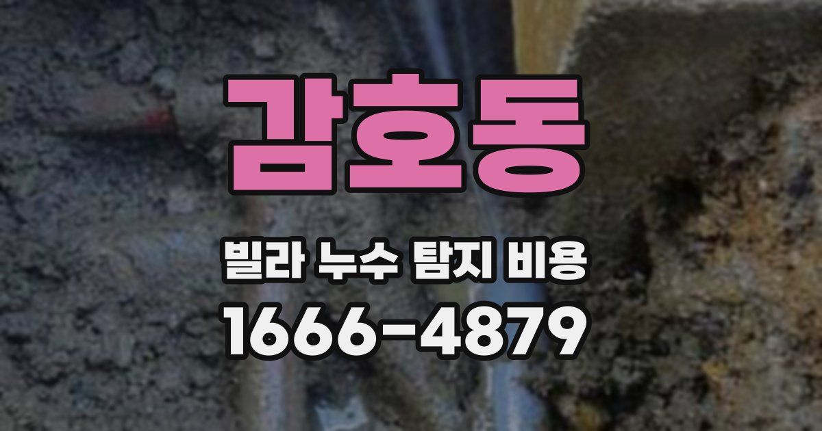 감호동 빌라 누수 탐지 비용