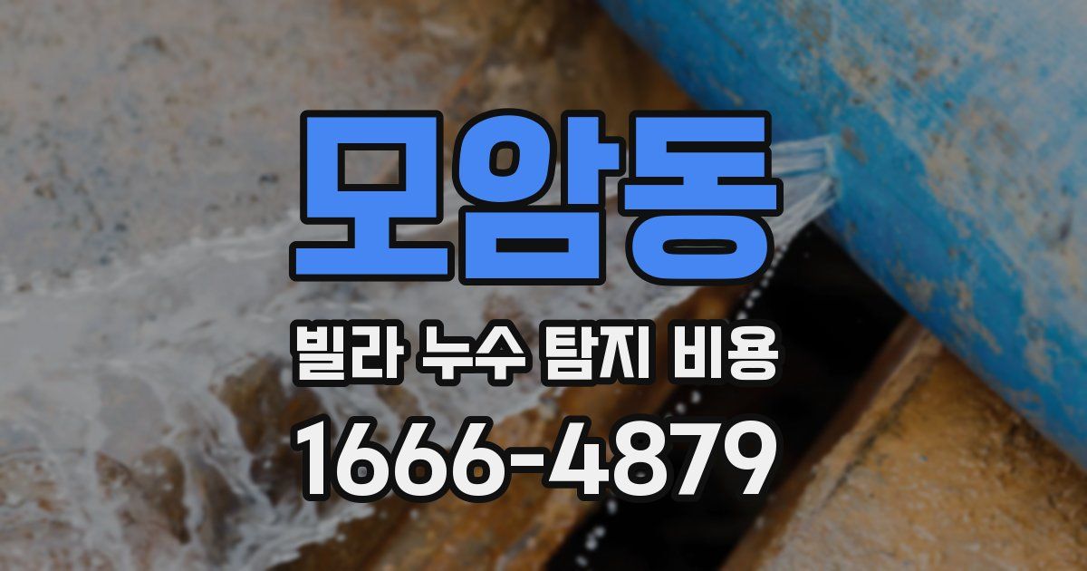 모암동 빌라 누수 탐지 비용