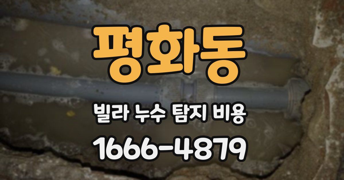 평화동 빌라 누수 탐지 비용