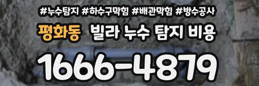 평화동 빌라 누수 탐지 비용
