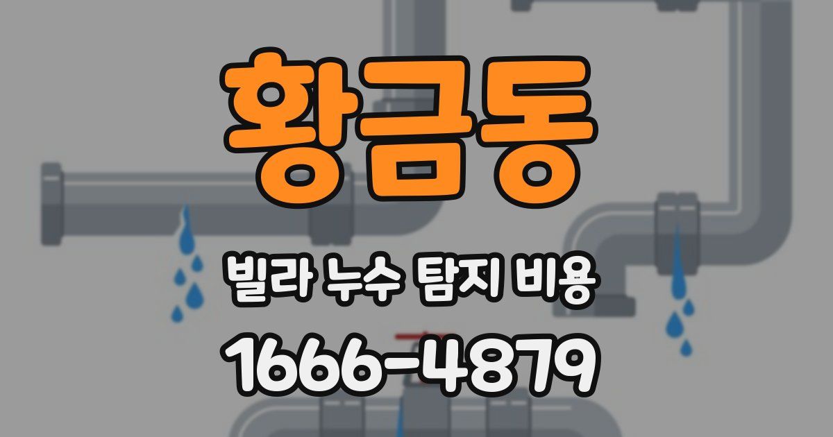 황금동 빌라 누수 탐지 비용