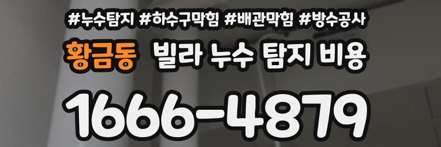 황금동 빌라 누수 탐지 비용