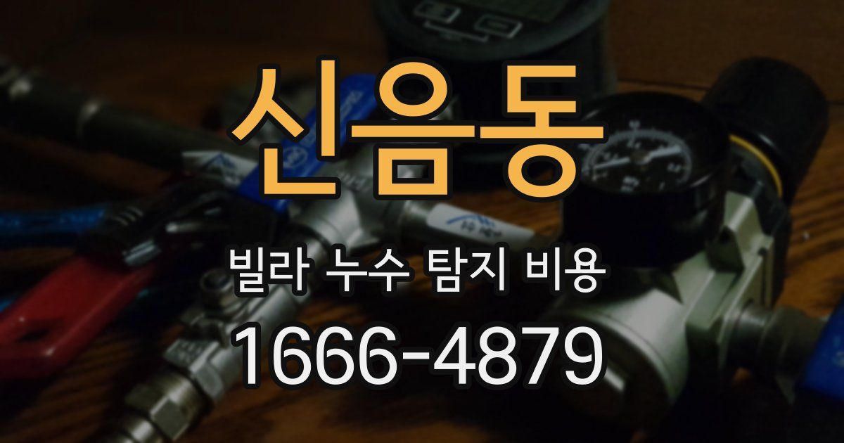 신음동 빌라 누수 탐지 비용