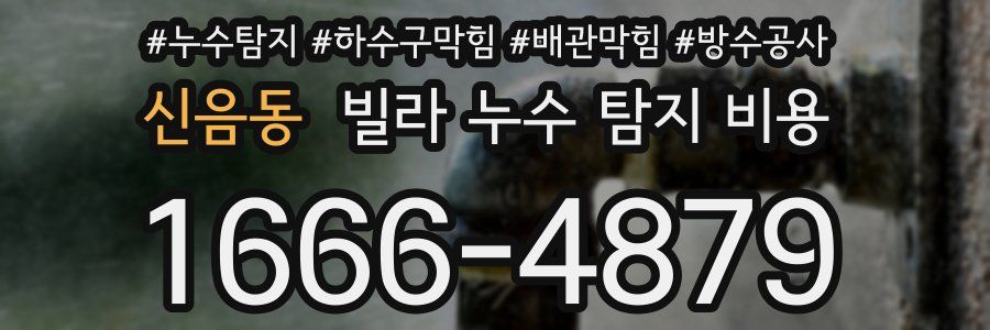 신음동 빌라 누수 탐지 비용