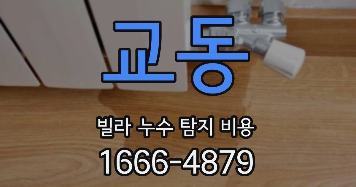 교동 빌라 누수 탐지 비용