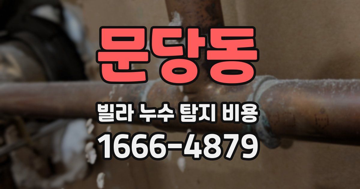 문당동 빌라 누수 탐지 비용