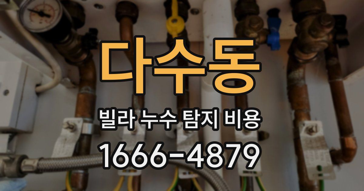 다수동 빌라 누수 탐지 비용